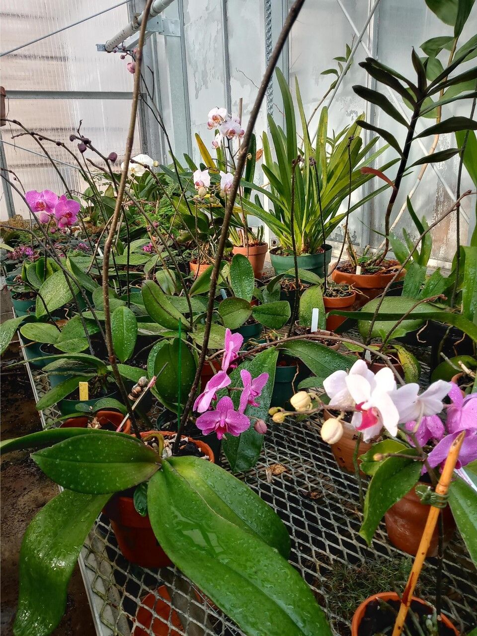 Plant story 3